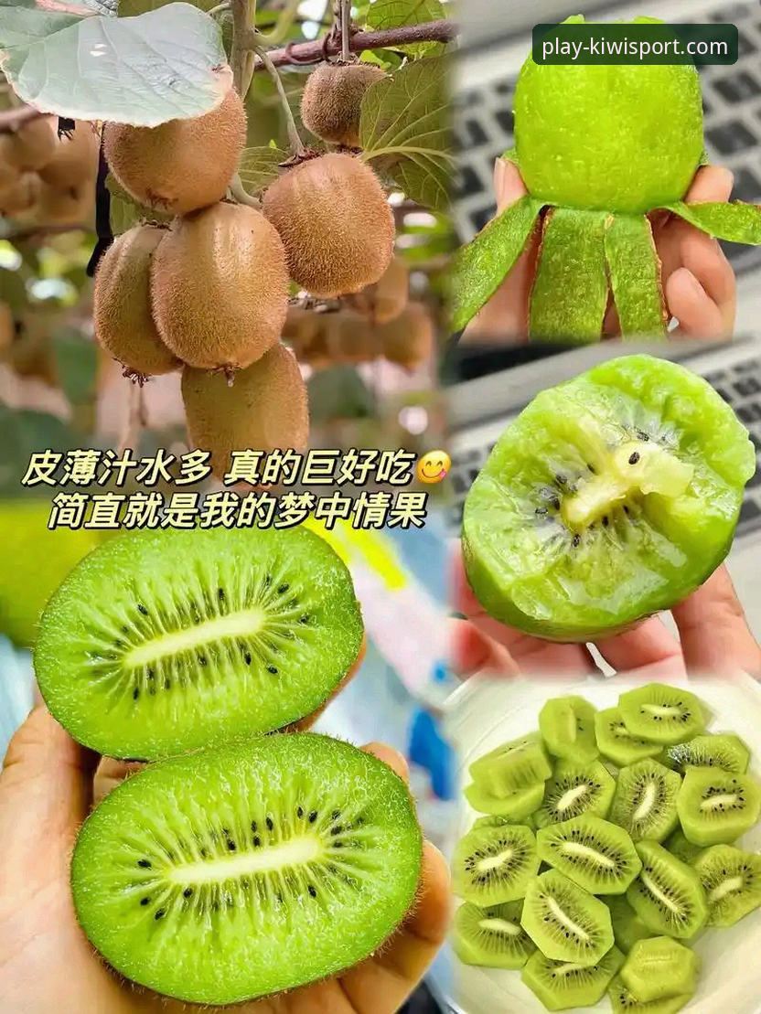 奇异果体育官网安全吗最新版？从技术架构看行业安全新趋势