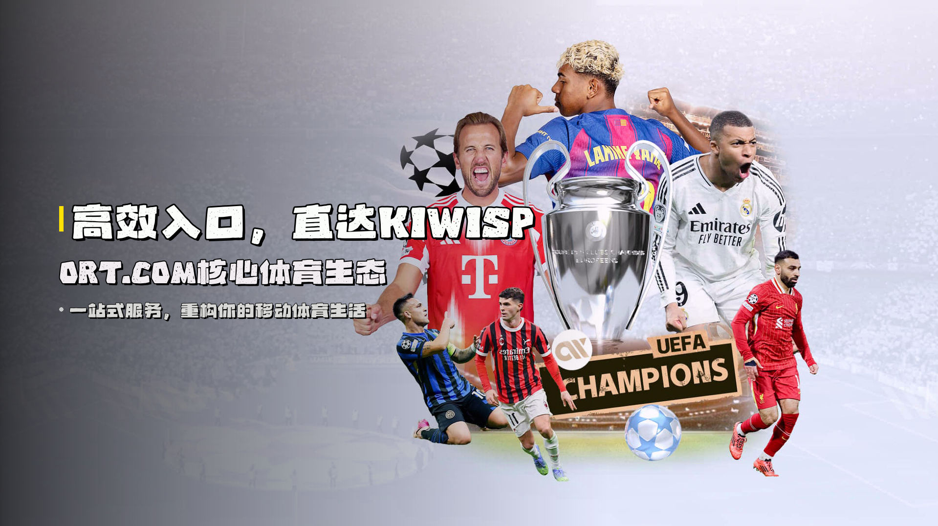 高效入口，直达<strong>KIWISPORT.COM</strong>核心体育生态